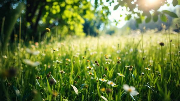 10 raisons incontournables de promouvoir la transition écologique