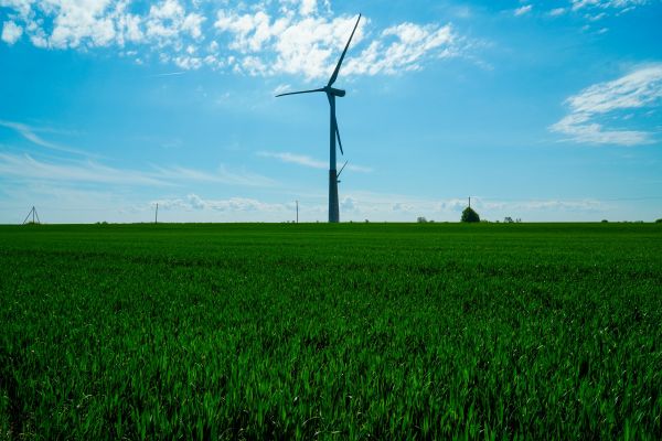 10 raisons incontournables de promouvoir la transition écologique